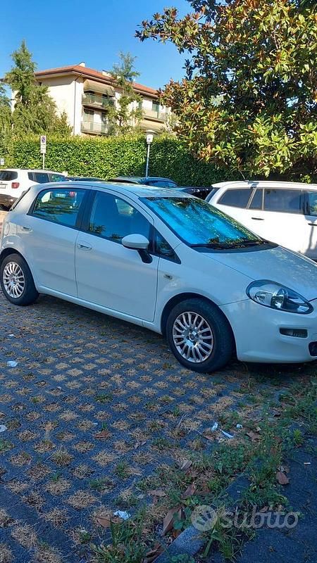 Usata Fiat Punto 75 CV (55 kW) 2013 Bianco Utilitaria