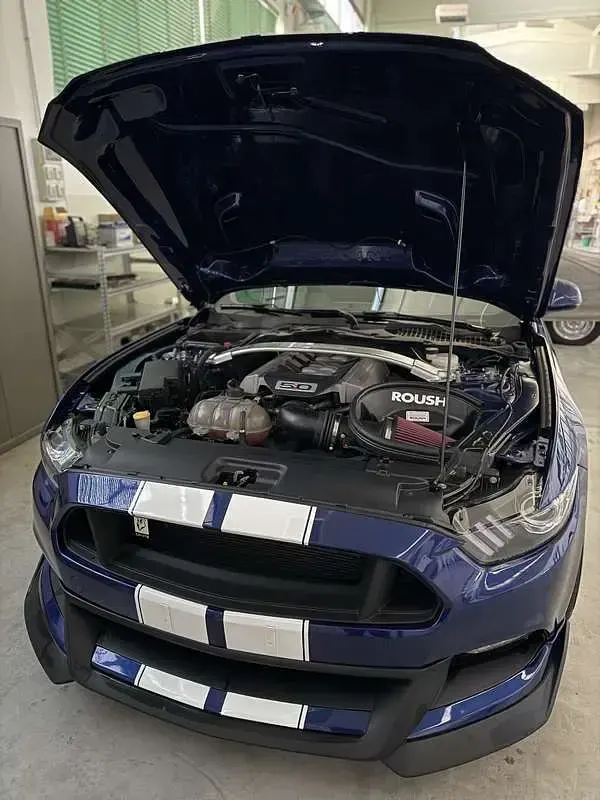 Usata Ford Mustang GT Fastback 421 CV (309 kW) 2015 Coupé