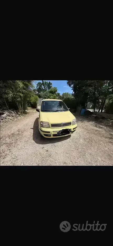 Usata Fiat Panda 60 CV (44 kW) 2008 Utilitaria