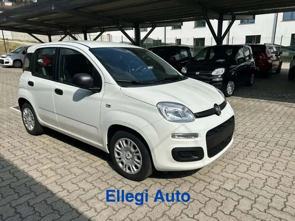 Nuova Fiat Panda Icon 69 CV (50 kW) 2026 Bianco Utilitaria