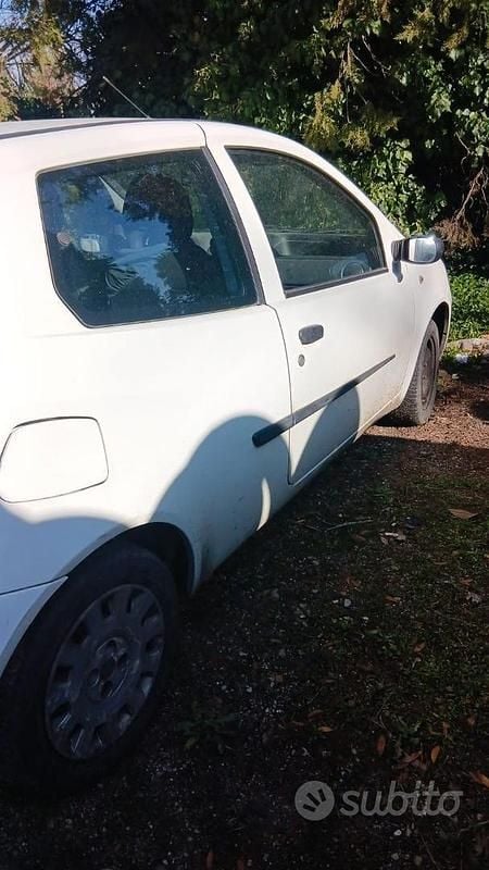 Usata Fiat Punto 75 CV (55 kW) 2009 Bianco Utilitaria