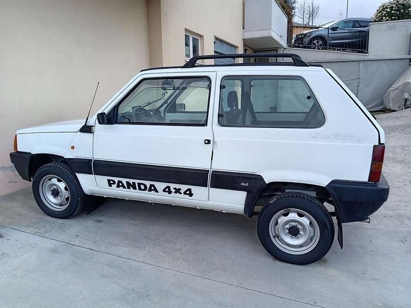 Usata Fiat Panda 4x4 Trekking 54 CV (39 kW) 2002 Utilitaria