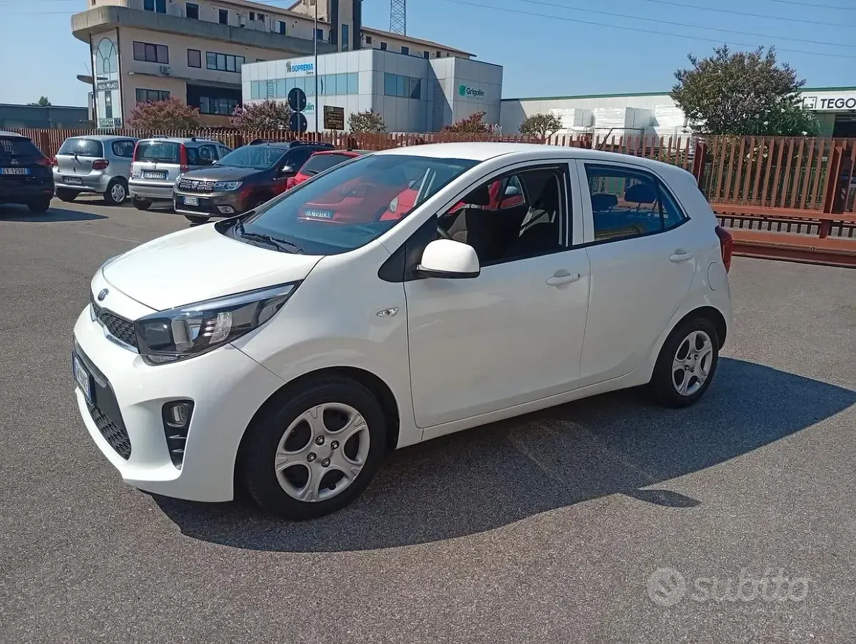 Usata Kia Picanto 65 CV (47 kW) 2018 Bianco Utilitaria