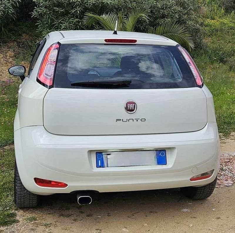 Usata Fiat Punto 75 CV (55 kW) 2013 Utilitaria