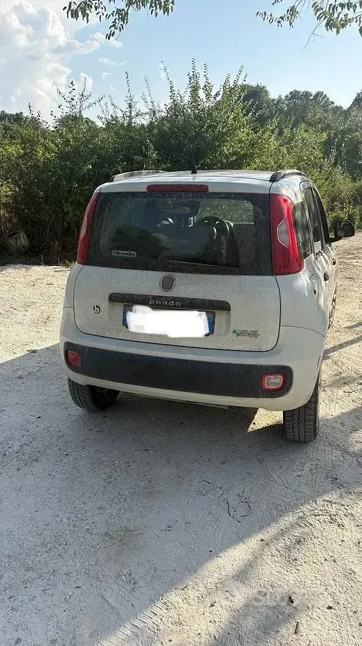Usata Fiat Panda 85 CV (62 kW) 2014 Bianco Utilitaria