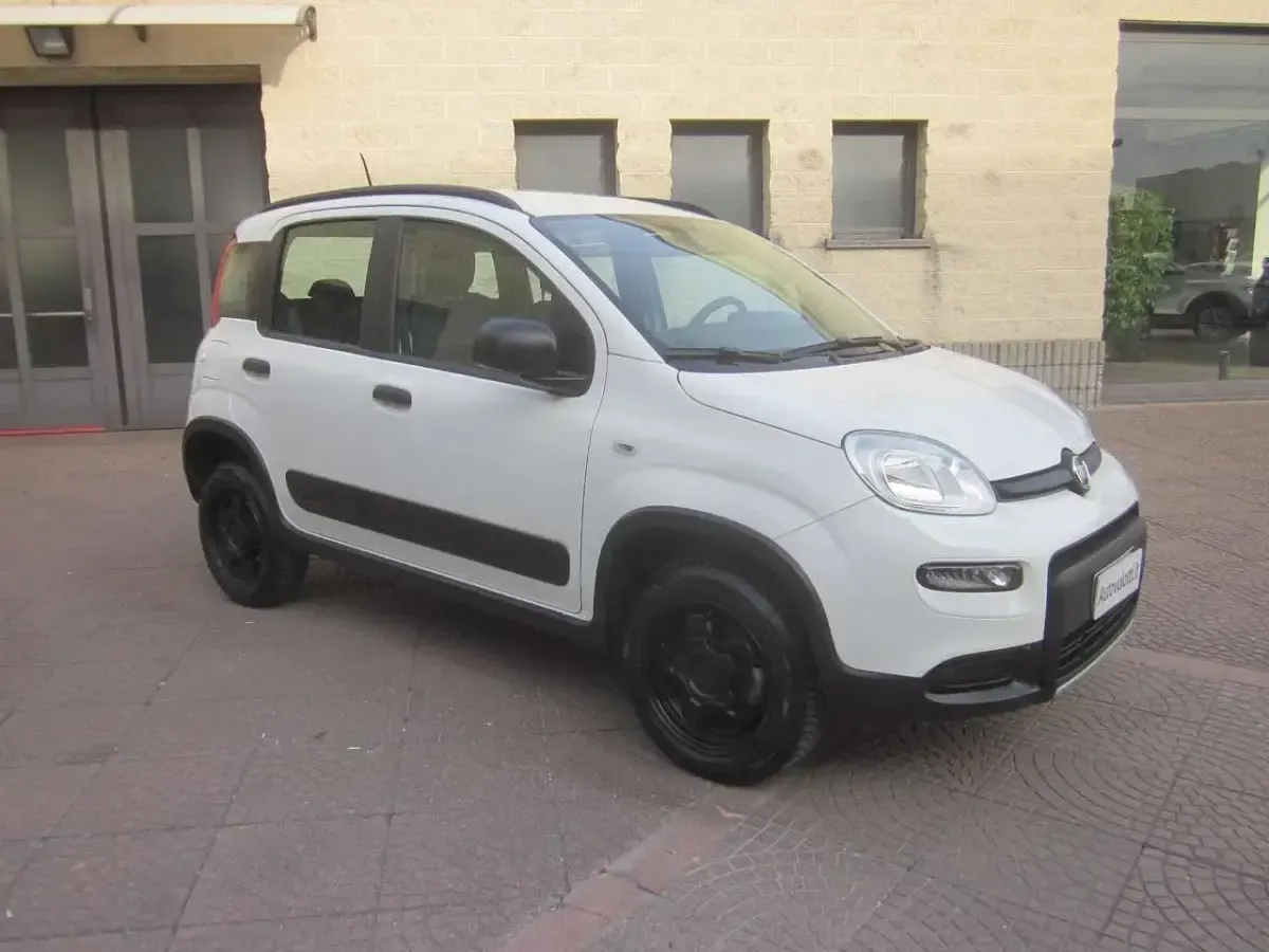 Usata Fiat Panda 4x4 S 86 CV (63 kW) 2020 Bianco Utilitaria