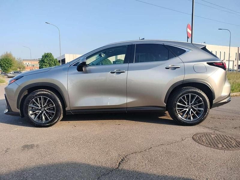 Usata Lexus NX300 309 CV (227 kW) 2023 Oro SUV