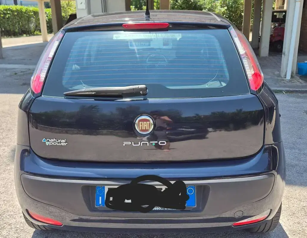 Usata Fiat Punto Evo 69 CV (50 kW) 2011 Blu/azzurro Utilitaria
