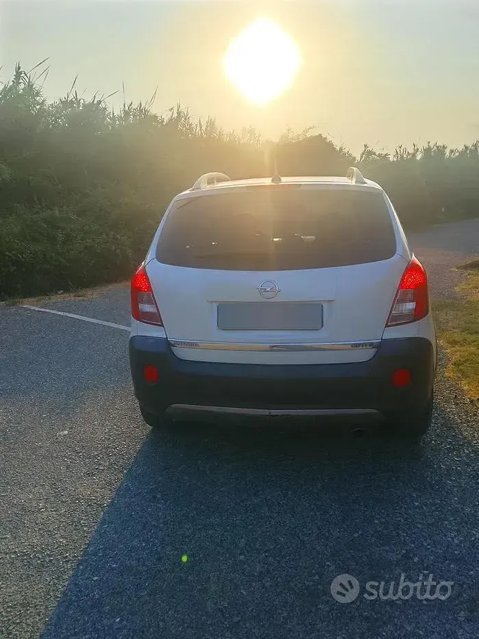 Usata Opel Antara 184 CV (135 kW) 2014 Bianco SUV