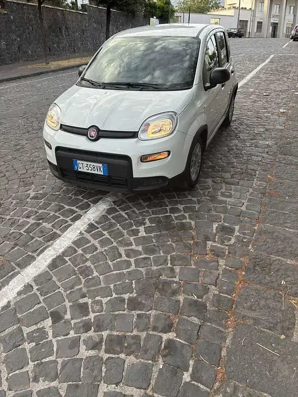 Usata Fiat Panda City Life 69 CV (50 kW) 2024 Utilitaria