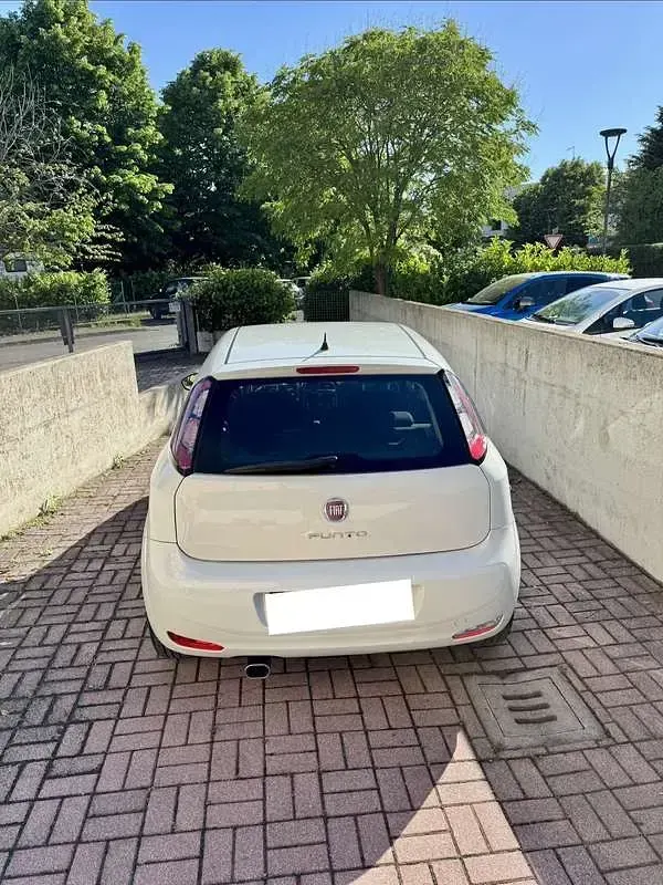 Usata Fiat Punto Lounge 69 CV (50 kW) 2014 Utilitaria