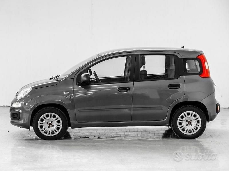Usata Fiat Panda Easy 69 CV (50 kW) 2019 Grigio Utilitaria