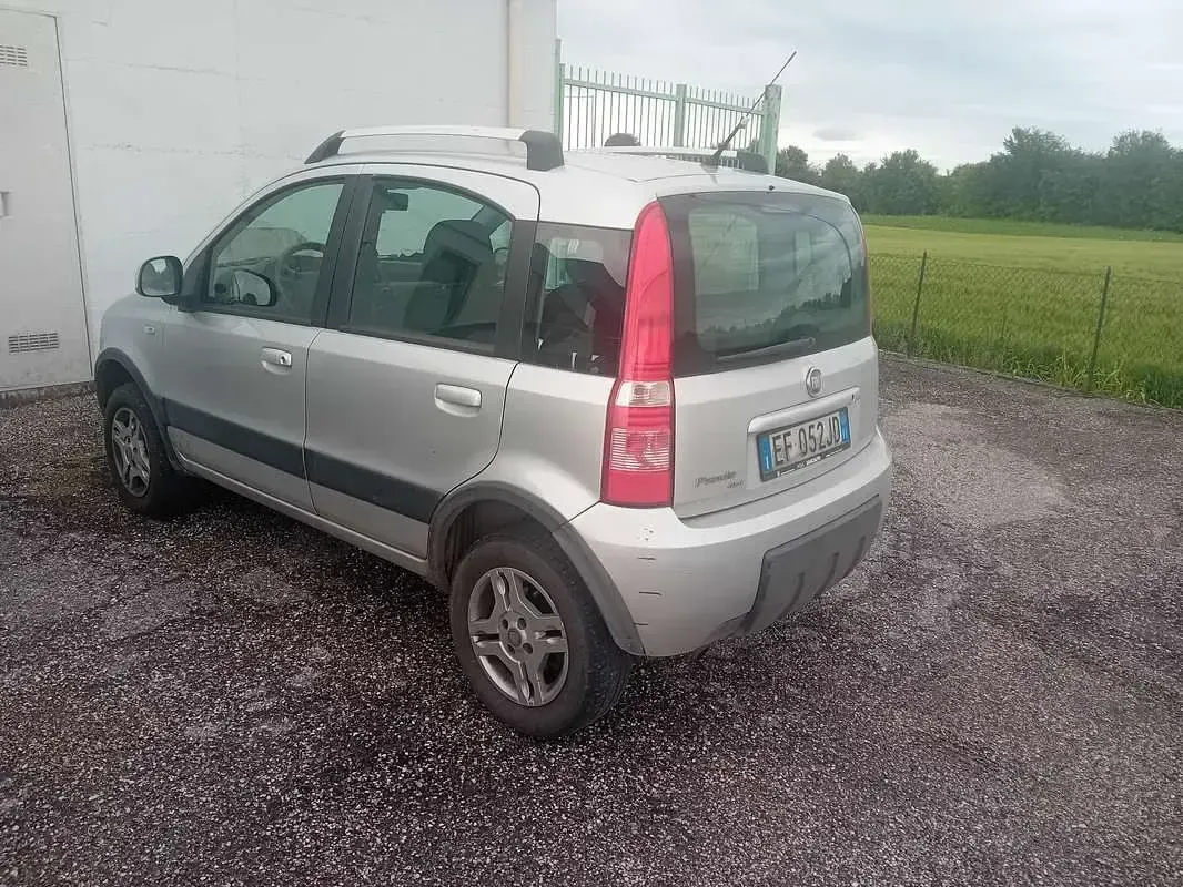 Usado Fiat Panda 4x4 69 HP (50 kW) 2010 Citadino