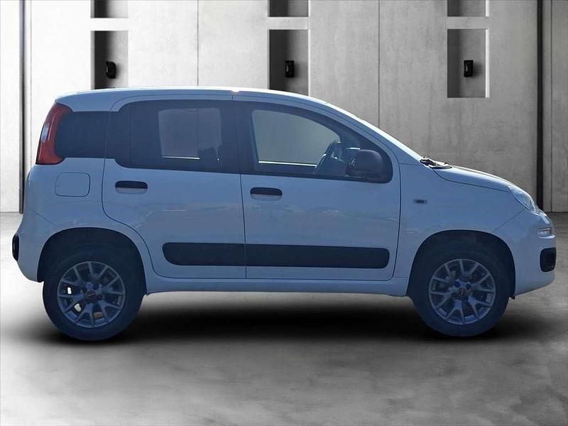 Usata Fiat Panda 4x4 Pop 86 CV (63 kW) 2021 Bianco Utilitaria