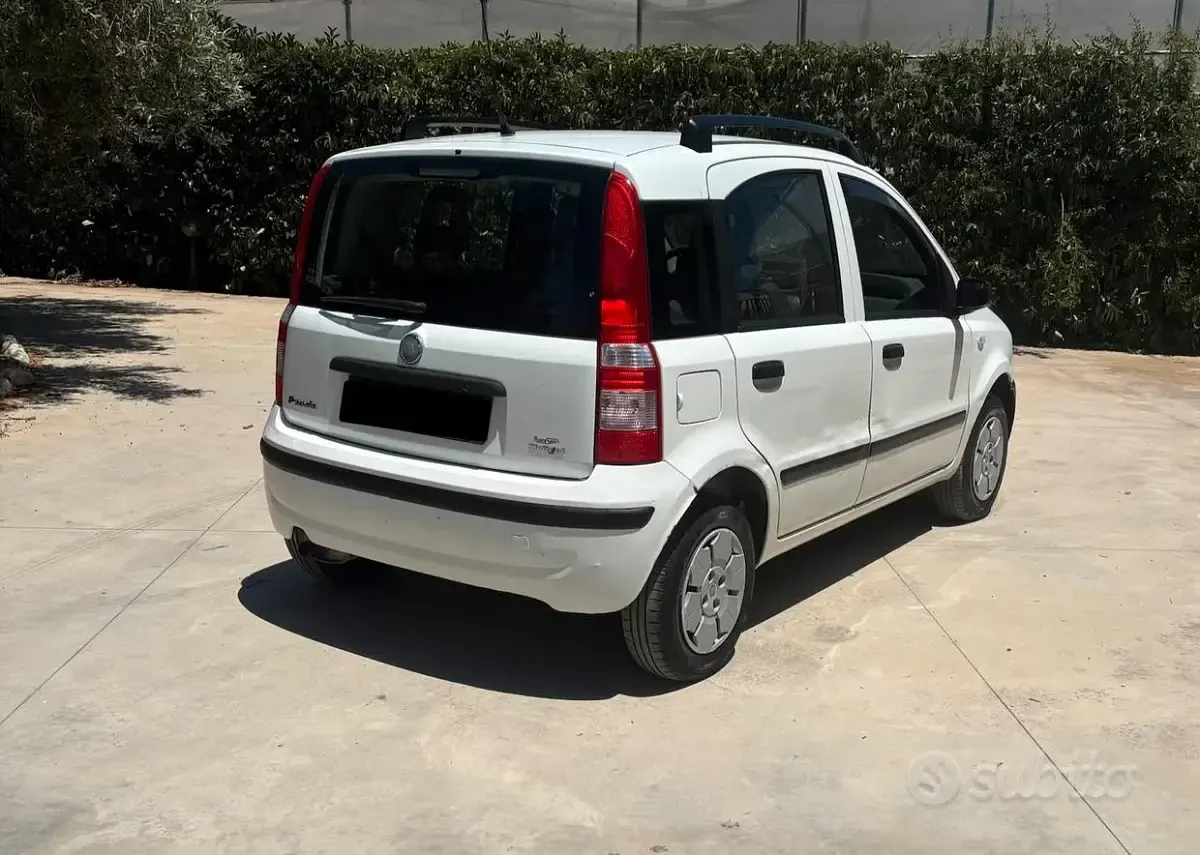 Usata Fiat Panda 69 CV (50 kW) 2007 Bianco Utilitaria