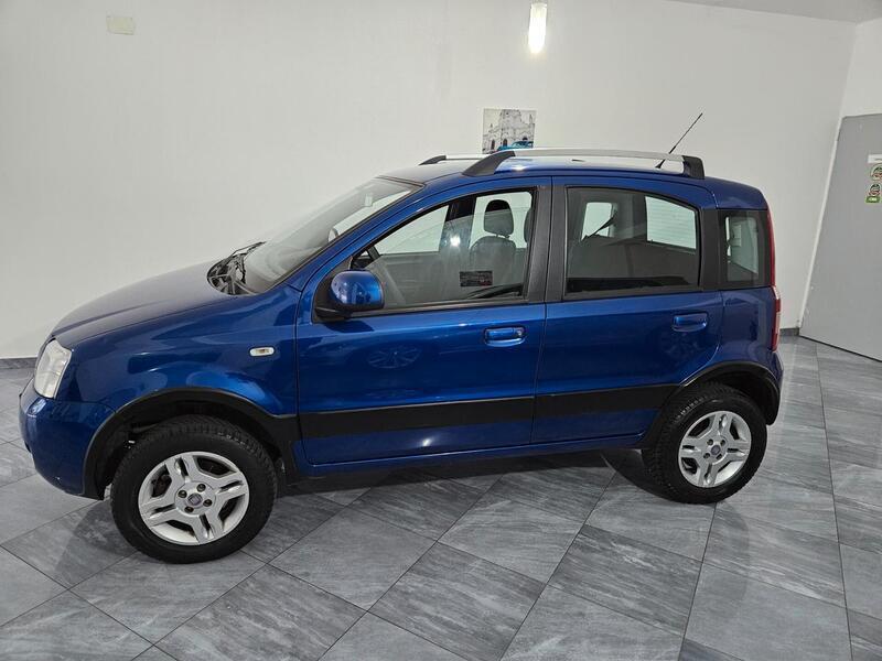 Usato 2010 Fiat Panda 4x4 1.2 Diesel 69 CV (7.300 €)