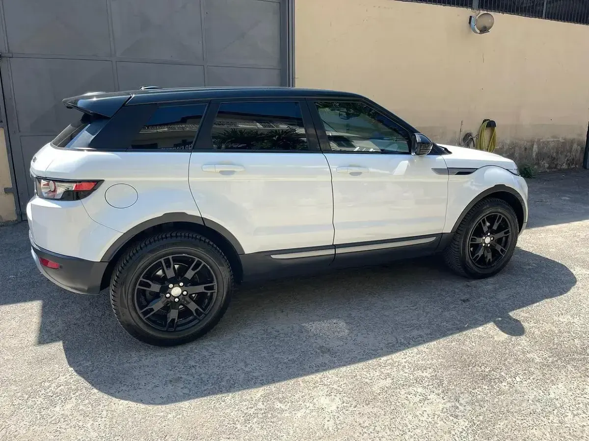 Usata Land Rover Range Rover evoque 150 CV (110 kW) 2014 Bianco SUV