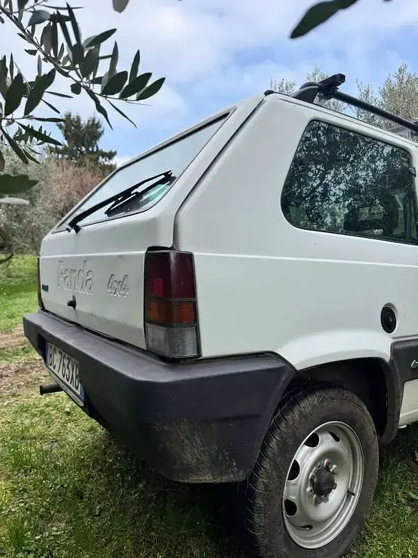 Usata Fiat Panda 4x4 Trekking 54 CV (39 kW) 1999 Bianco Utilitaria