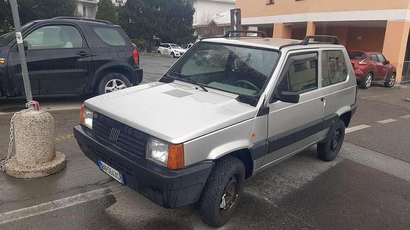 Usata Fiat Panda 4x4 Trekking 54 CV (39 kW) 2001 Utilitaria