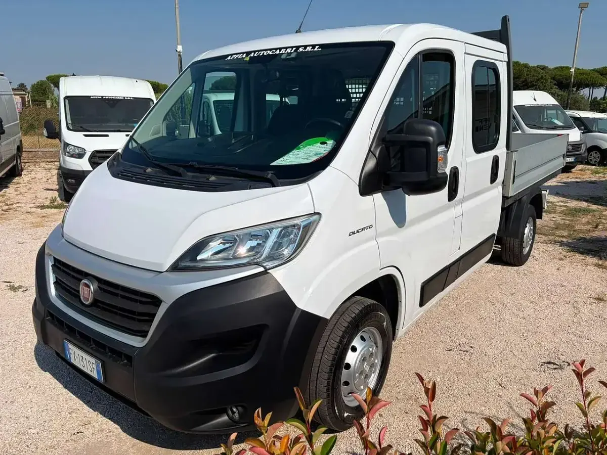 Usata Fiat Ducato 116 CV (85 kW) 2019 Bianco Furgone
