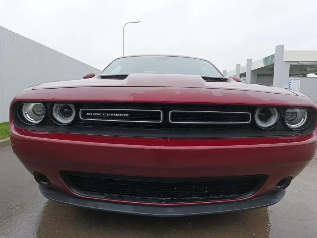 Usata Dodge Challenger 305 CV (224 kW) 2019 Bordeaux Coupé