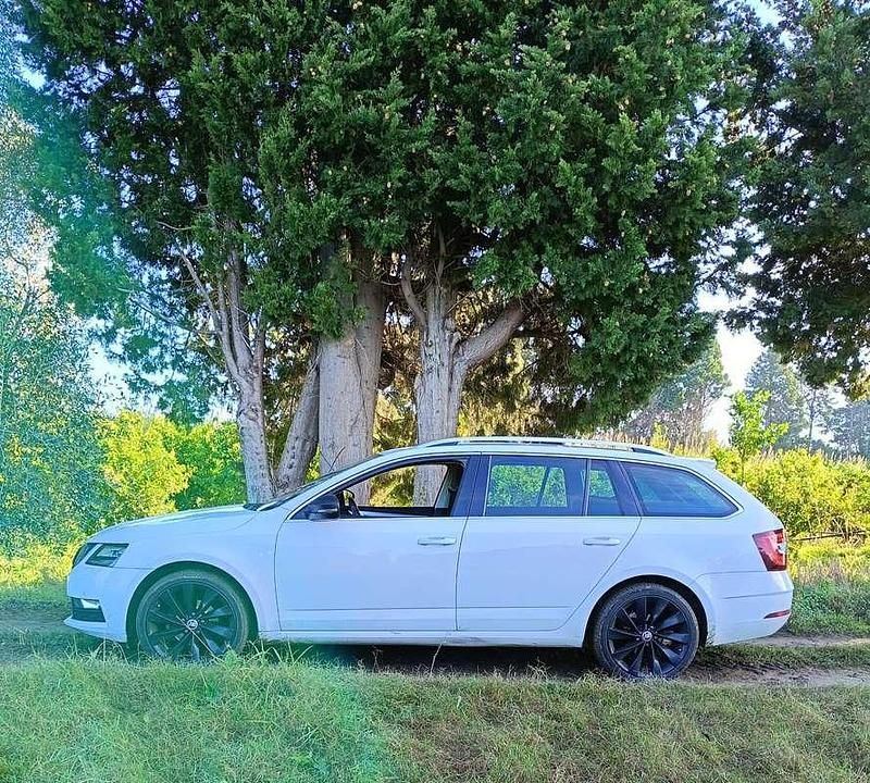 Usata Skoda Octavia Executive 116 CV (85 kW) 2018 Station wagon