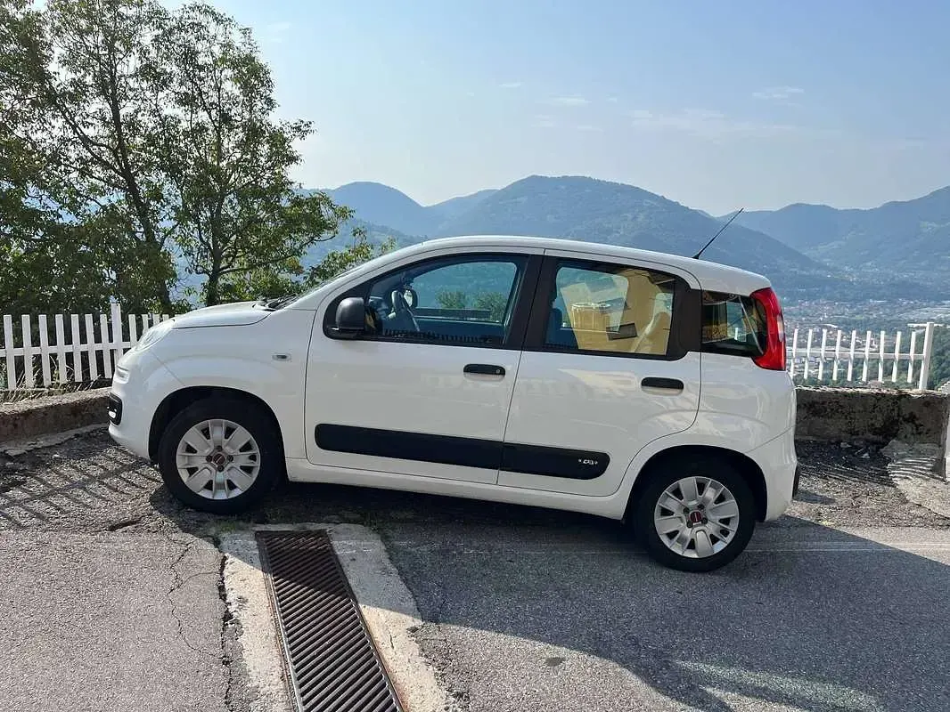 Usata Fiat Panda Pop 69 CV (50 kW) 2017 Bianco Utilitaria
