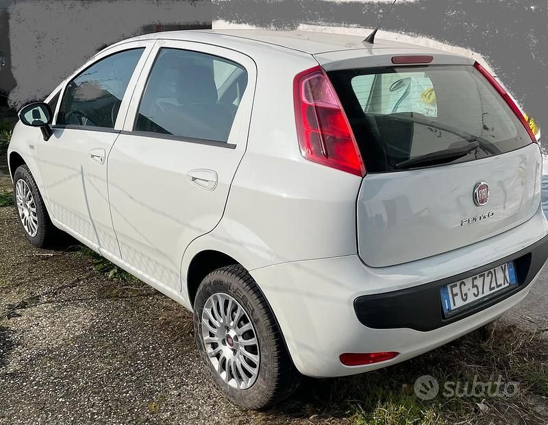 Usata Fiat Punto 2013 Bianco Utilitaria