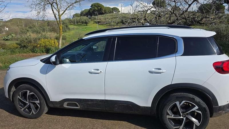 Usata Citroën C5 Aircross Business Class 131 CV (96 kW) 2019 SUV