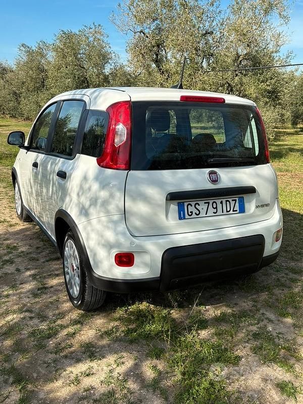 Usata Fiat Panda 70 CV (51 kW) 2023 Bianco Utilitaria