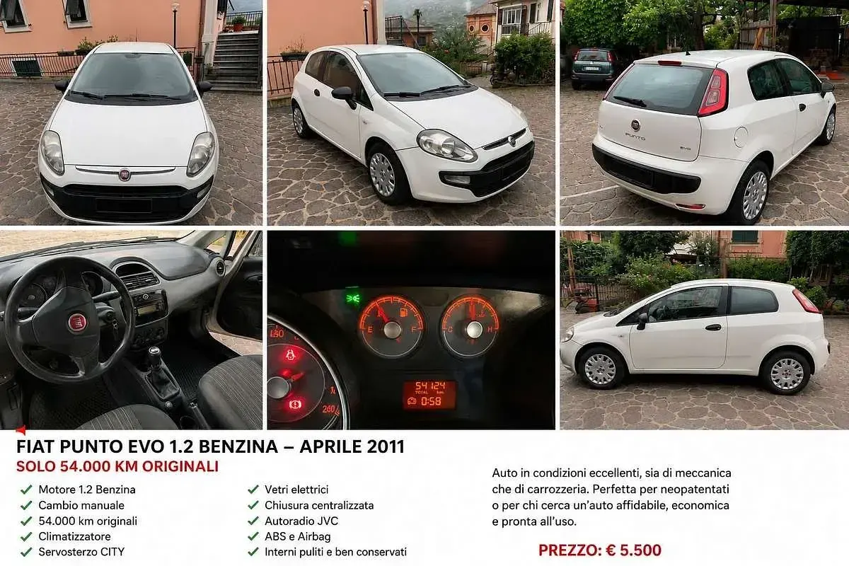 Usata Fiat Punto Evo Dynamic 65 CV (47 kW) 2011 Bianco Utilitaria