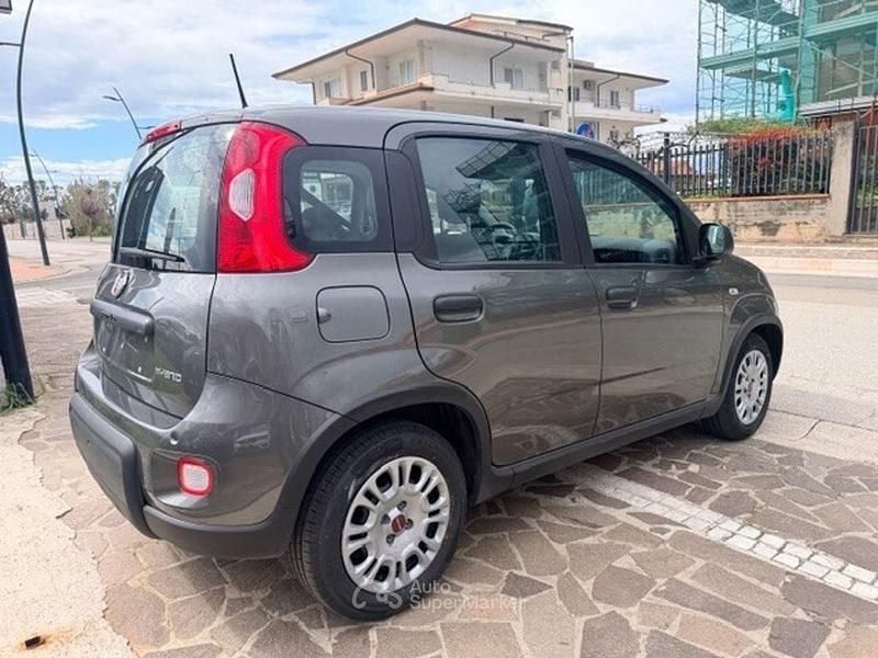 Usata Fiat Panda S 71 CV (52 kW) 2024 Gray Utilitaria