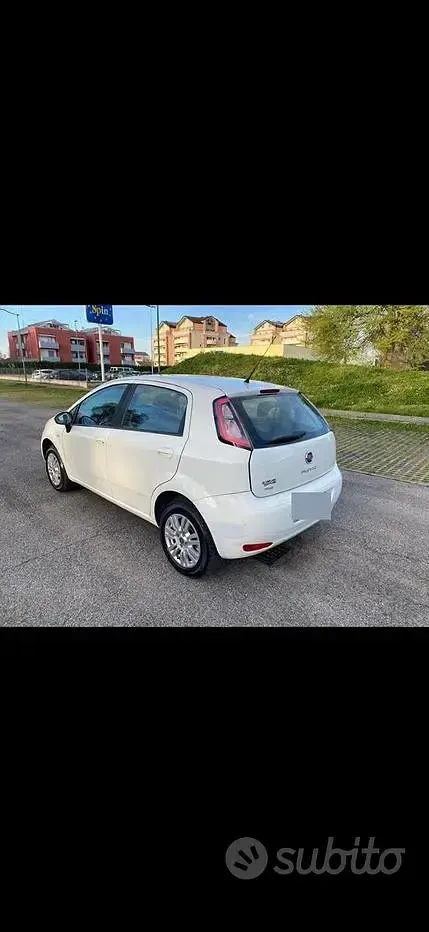 Usata Fiat Punto 77 CV (56 kW) 2013 Bianco Utilitaria