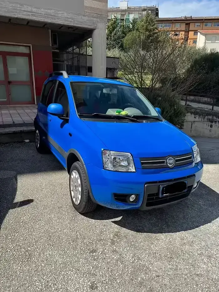 Usata Fiat Panda 4x4 60 CV (44 kW) 2005 Blu Utilitaria