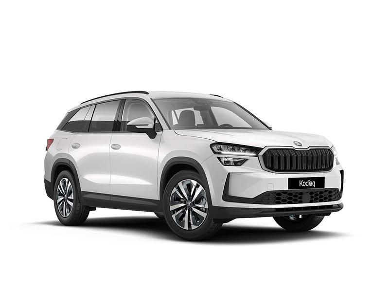 Usata Skoda Kodiaq Executive 150 CV (110 kW) 2025 Bianco luna metallizzato SUV