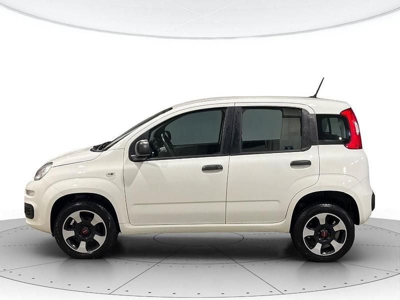 Usata Fiat Panda Easy 70 CV (51 kW) 2020 Bianco gelato Utilitaria