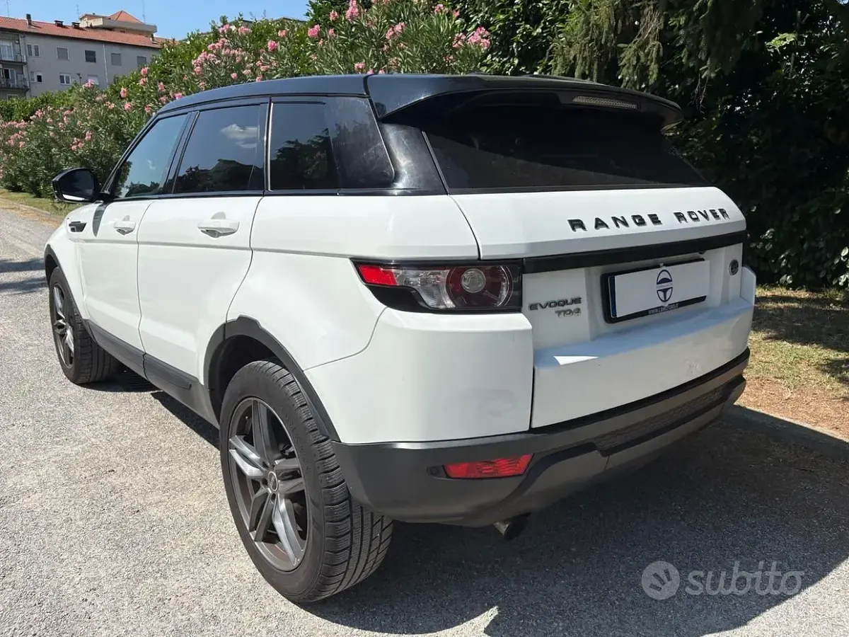 Usata Land Rover Range Rover evoque Pure 150 CV (110 kW) 2013 Bianco SUV