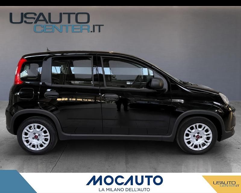 Usata Fiat Panda Icon 70 CV (51 kW) 2024 Nero Utilitaria