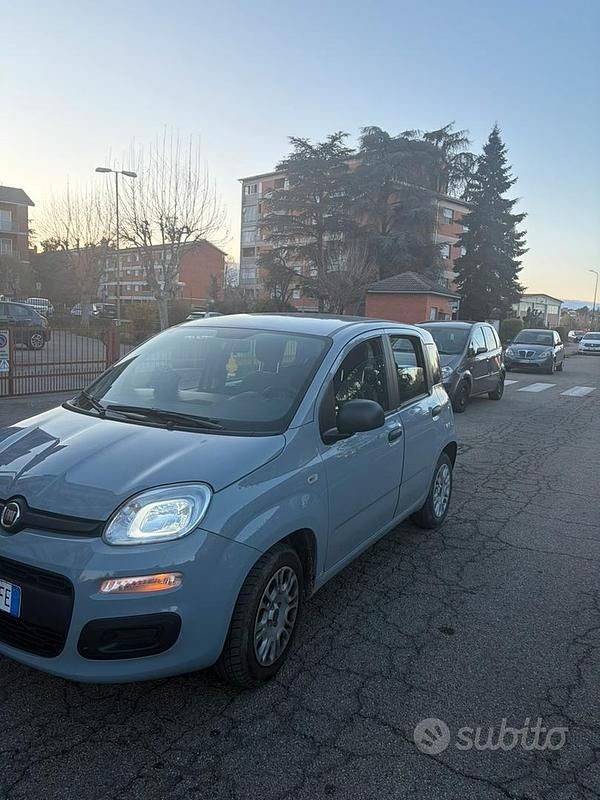 Usata Fiat Panda 69 CV (50 kW) 2018 Grigio Utilitaria