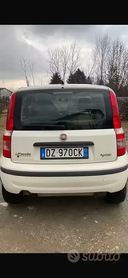 Usata Fiat Panda 60 CV (44 kW) 2009 Utilitaria