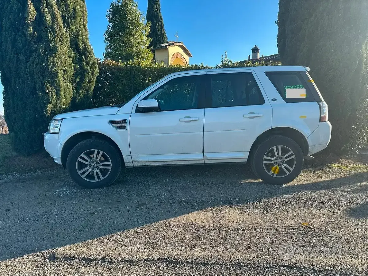 Usata Land Rover Freelander 2 SE 150 CV (110 kW) 2013 Bianco SUV