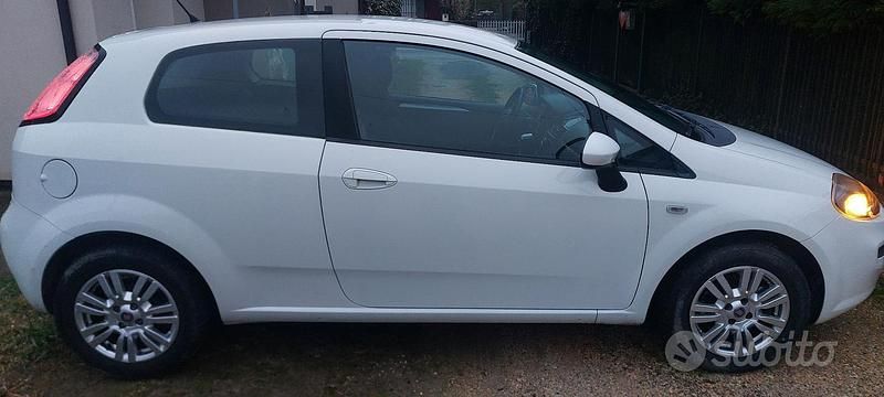 Usata Fiat Punto 95 CV (69 kW) 2013 Utilitaria