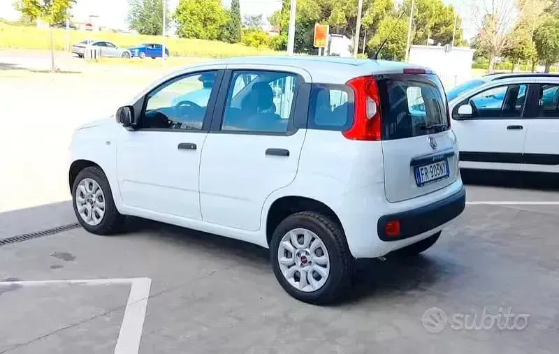 Usata Fiat Panda Easy 70 CV (51 kW) 2018 Bianco Utilitaria