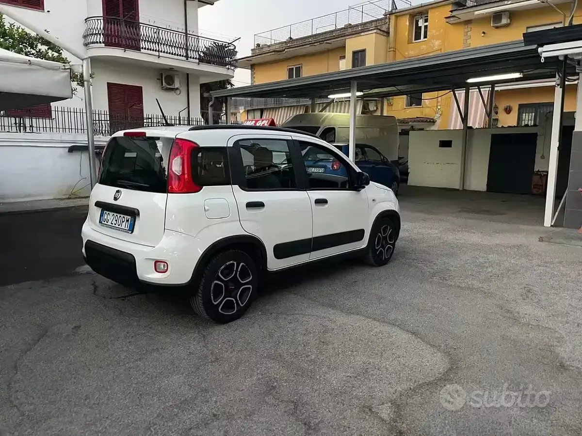 Usata Fiat Panda City Life 69 CV (50 kW) 2021 Bianco Utilitaria