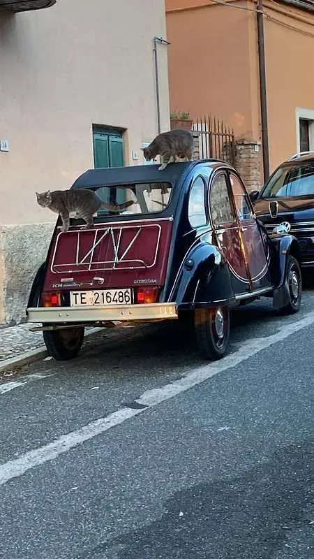 Usata Citroën 2CV Charleston 29 CV (21 kW) 1987 Berlina