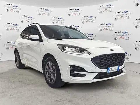 Usata Ford Kuga ST-Line 190 CV (139 kW) 2022 Frozen white SUV