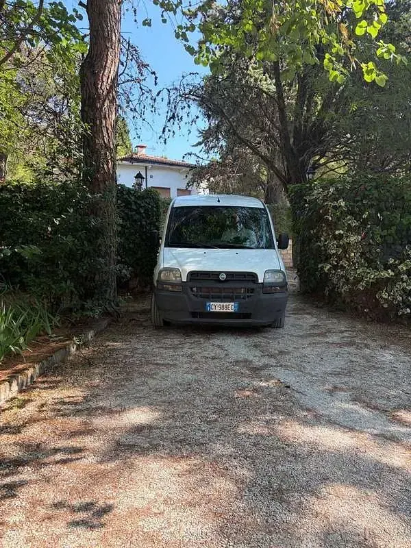 Usata Fiat Doblò Active 105 CV (77 kW) 2005 Bianco Monovolume