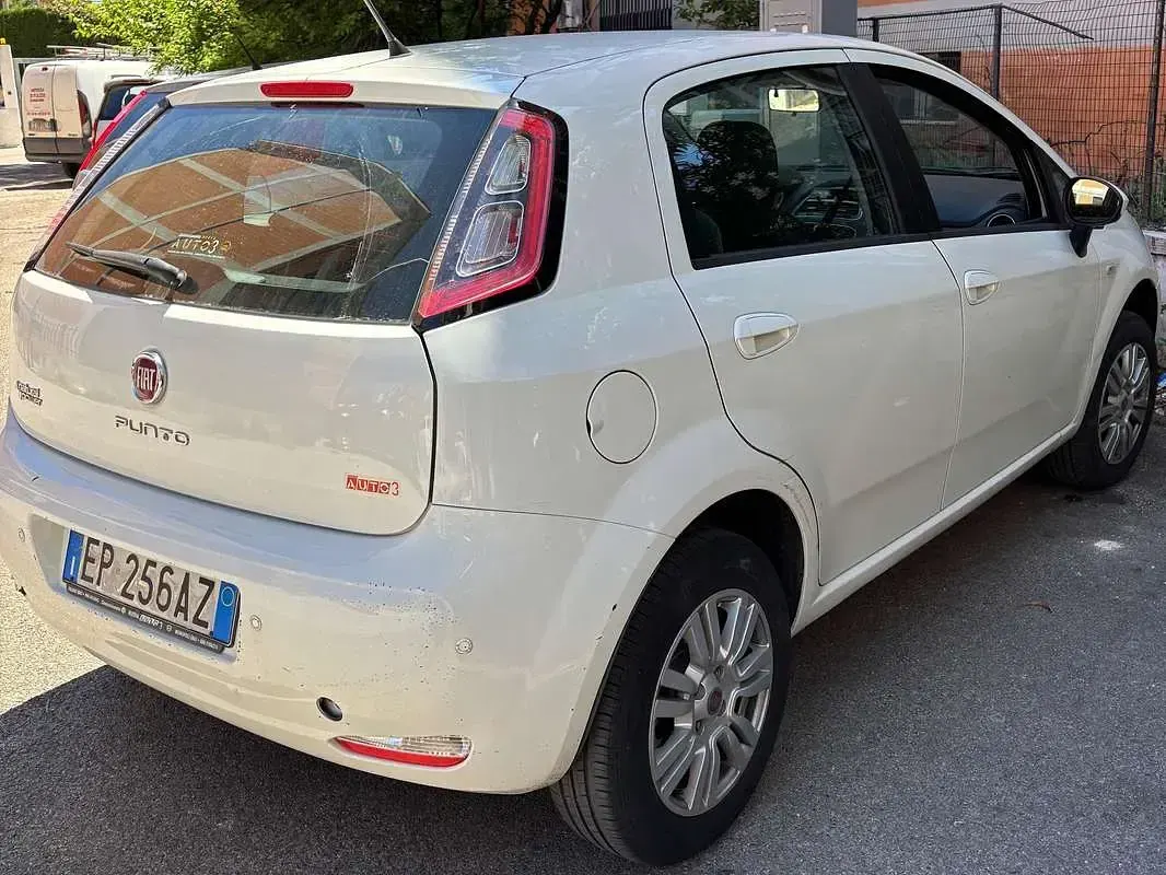 Usata Fiat Punto Pop 69 CV (50 kW) 2012 Bianco Utilitaria