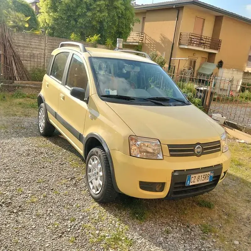 Usata Fiat Panda 4x4 60 CV (44 kW) 2006 Utilitaria
