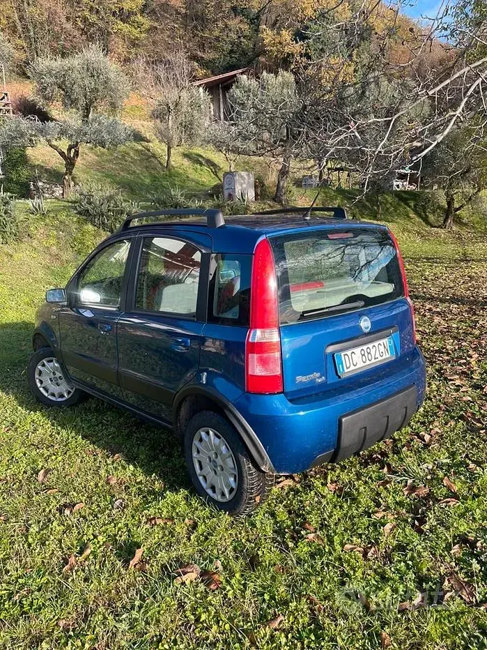 Usata Fiat Panda 4x4 60 CV (44 kW) 2004 Blu Utilitaria